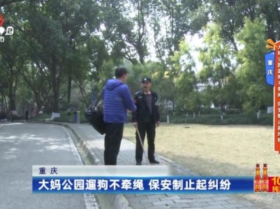 重庆——大妈公园遛狗不牵绳 保安制止起纠纷