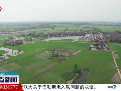 我省各地抢抓农时做好田间管理
