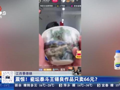 江西景德镇：震惊！瓷坛泰斗王锡良作品只卖66元？
