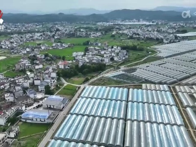 社会传真20240521 乡村振兴 富“硒”潭头