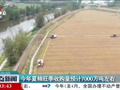 今年夏粮旺季收购量预计7000万吨左右