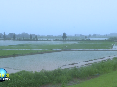 永修：11万亩农田受灾 农技指导到一线
