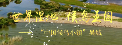 世界湿地 候鸟王国—— “中国候鸟小镇”吴城