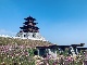 九江永修：望湖亭上学历史