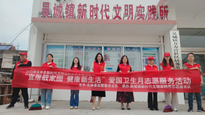 吴城镇开展第35个爱国卫生月活动