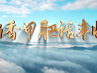 稻香甲肥话收成