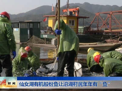 仙女湖有机股份鱼让沿湖村民年年有“鱼”