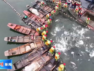 仙女湖：巨网捕鱼庆丰收 上万村民共享股份鱼