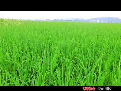 【航拍】田园风光