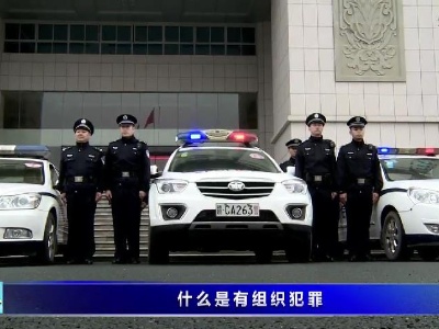 什么是有組織犯罪