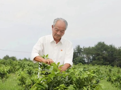 一顆“橙”心為守“根”