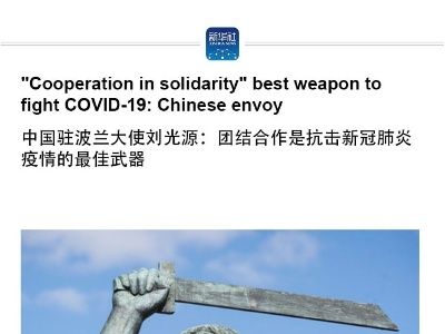 "Cooperation in solidarity" best weapon to fight COVID-19: Chinese envoy