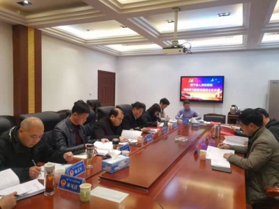 新干县检察院召开党史学习教育专题民主生活会