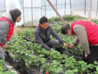 新干县：积极应对寒潮天气 保障农业生产安全
