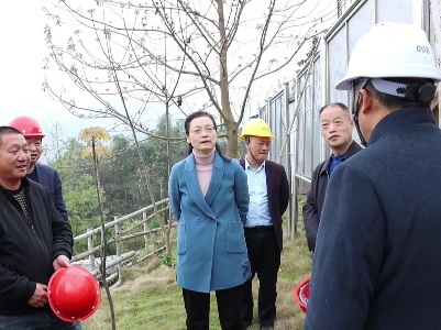 谭晓艳调研督导安全生产工作