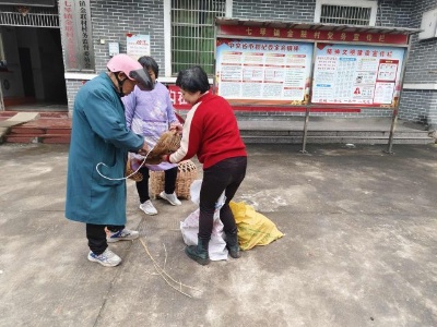 七琴镇全面完成春季动物防疫工作