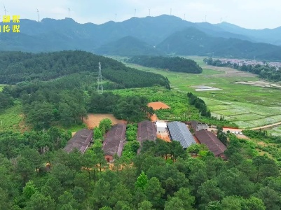榆黄茹喜获丰收