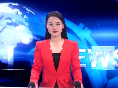 何国杰参加青塘镇代表团分组审议