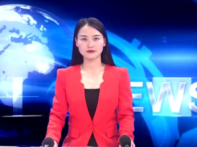 李过春参加石上 湛田代表团分组审议