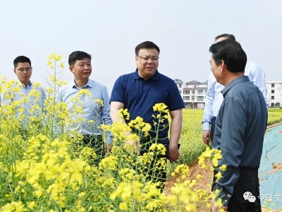 肖斐杰深入乡镇调研春耕备耕、巩固拓展脱贫攻坚成果工作