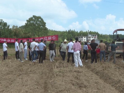 【视频新闻】东韶乡开展油菜种植现场观摩会