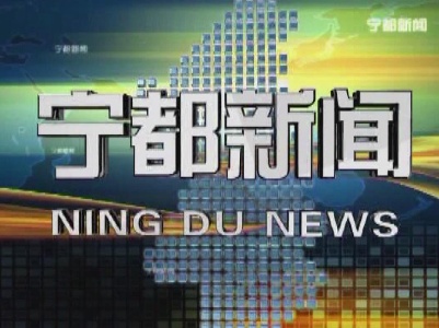 宁都新闻20231130