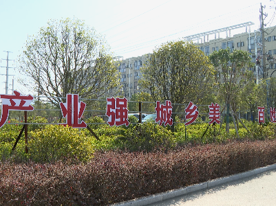 美丽城市