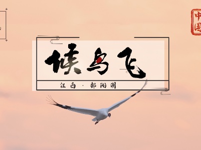 候鸟飞