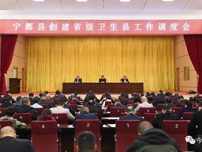 全县创建省级卫生县工作调度会召开