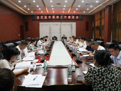 全区宣传思想工作推进会召开