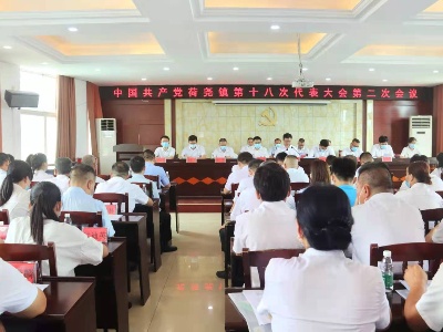 【聚焦党代会】中共荷尧镇第十八次代表大会第二次全体会议胜利闭幕