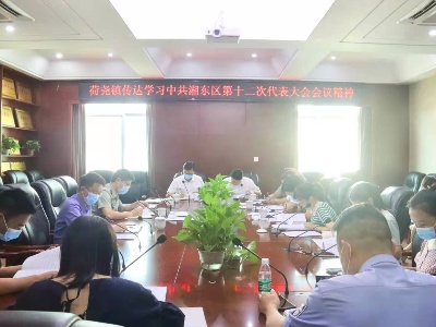 迅速传达作部署，雷厉风行抓落实——荷尧镇召开学习区第十二次党代会精神专题会议