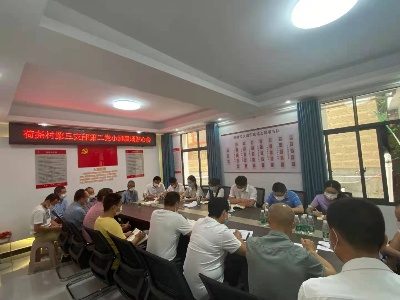 党建引领，同心同德！荷尧镇荷尧村召开屋场贴心会