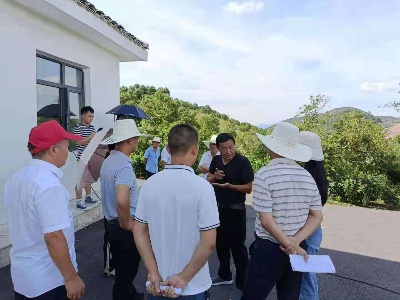 荷尧镇乡村振兴调研团赴各大特色产业基地调研