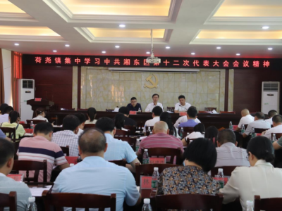 蓝图绘就，实干担当 | 荷尧镇集中学习中共湘东区第十二次代表大会精神