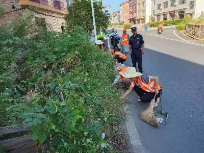 荷尧镇唱响人居环境卫生整治主旋律