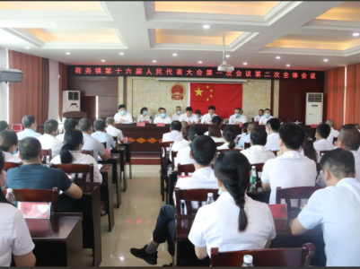 【聚焦人代会】荷尧镇第十六届人民代表大会第一次会议胜利闭幕