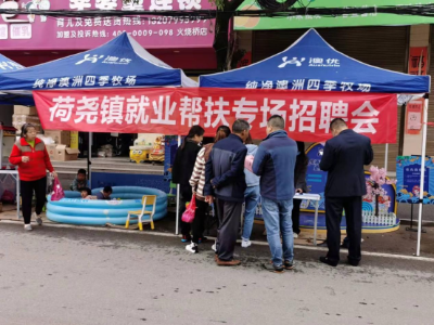 【我为群众办实事】荷尧镇举办就业帮扶专场招聘会