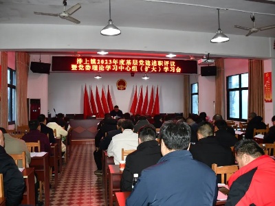排上镇召开2023年度基层党建工作述职评议会