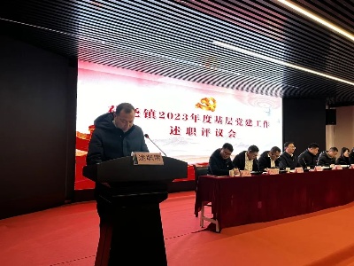 荷尧镇召开2023年度基层党建工作述职评议会