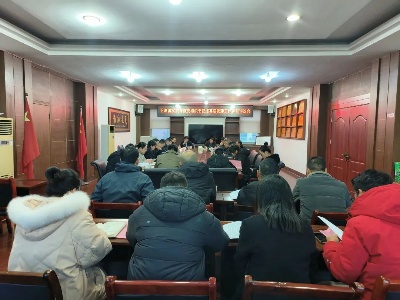 下埠镇召开2023年度党组织书记抓基层党建工作述职评议会