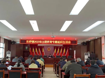 东桥镇机关党支部召开主题教育专题组织生活会