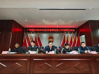 广寒寨乡党委召开2023年度基层党建工作述职评议会