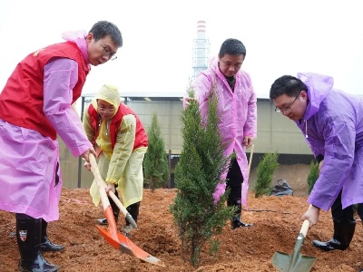 下埠镇开展“春风三月学雷锋，志愿植绿我先行”义务植树活动