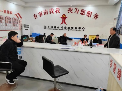 排上镇到梅林村调研村级集体经济