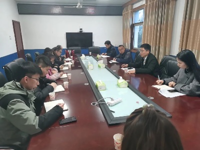 排上镇召开党建工作例会
