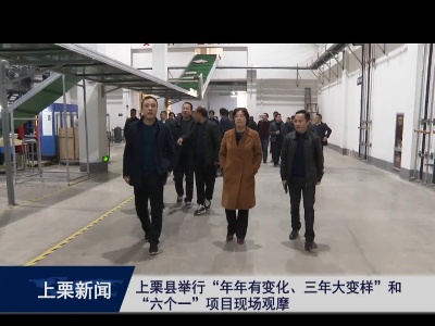 上栗县举行“年年有变化  三年大变样”和“六个一”项目现场观摩
