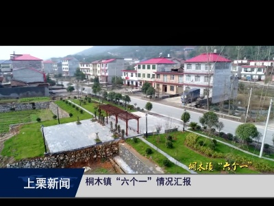 桐木镇“六个一 ”情况汇报