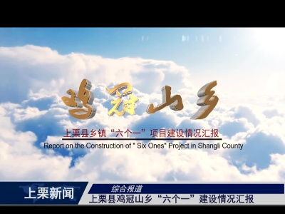 上栗县鸡冠山乡“六个一”建设情况汇报