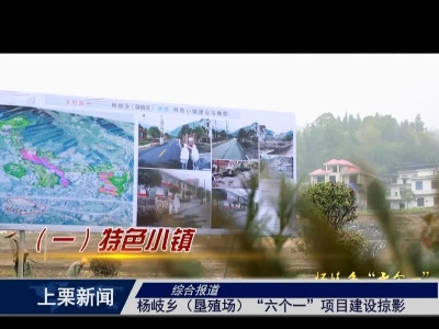 杨歧乡（垦殖场）“六个一”项目建设情况掠影（综合报道）